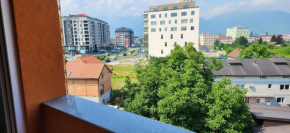 Brand New Two Bedroom and One Living Room Apartment in a Great Location!